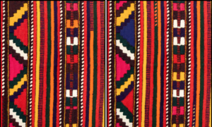 Spot the Difference Daily