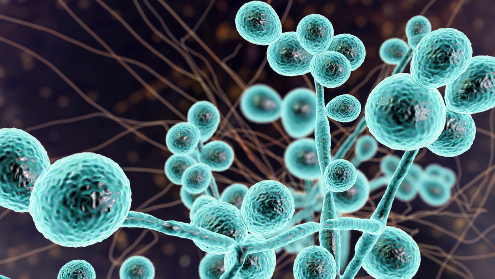 NextImg:Brian Giesbrecht: Draconian, Anti-Science Measures During the Pandemic Has Led to Loss of Trust in Our Institutions