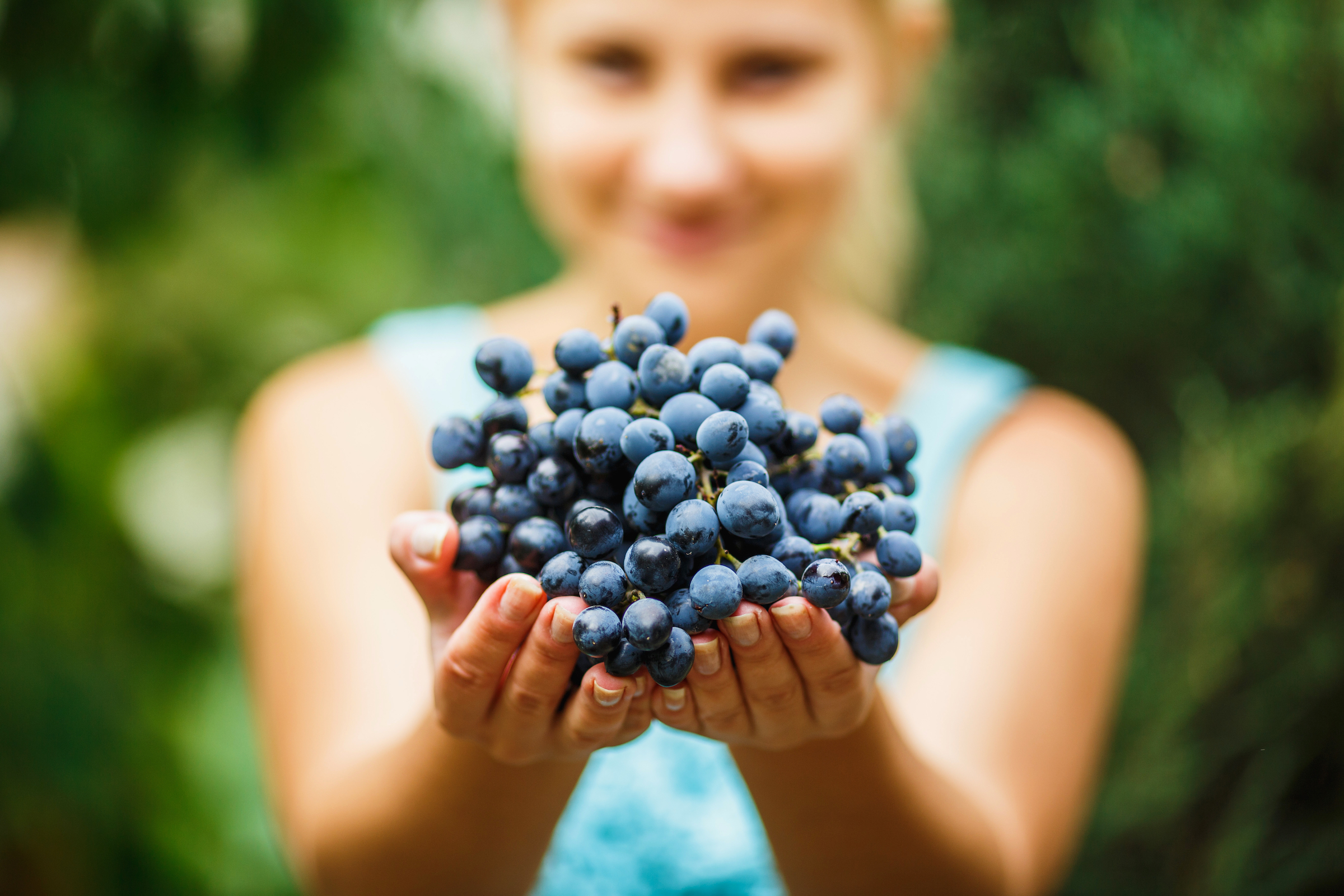 The Best Foods for Your Skin - Vimarsana News