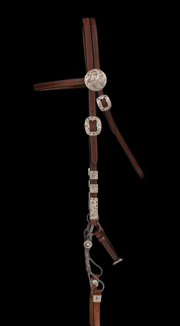 Traditional Cowboy Arts Association