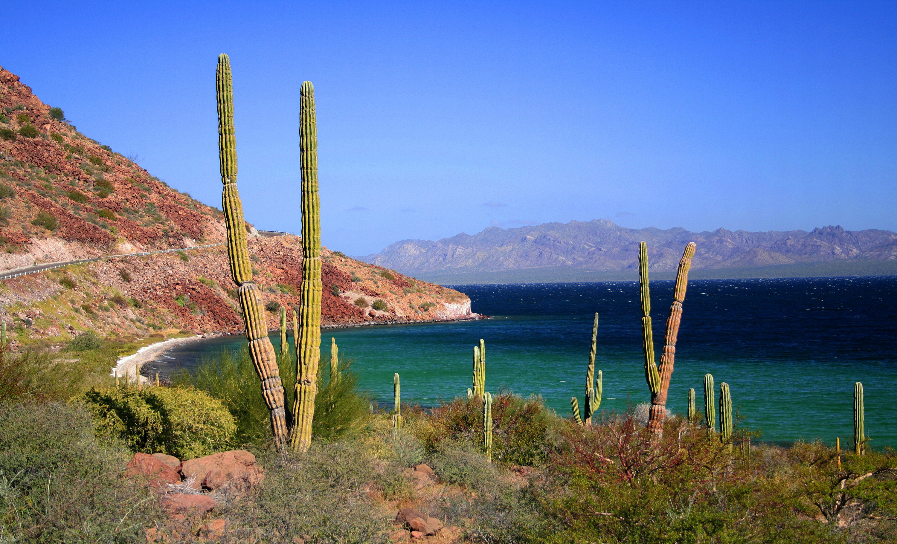 Isla Coronado a Treasure of the Loreto Landscape - Vimarsana News