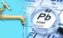 Lead Exposure Still Kills Nearly 1 in 5