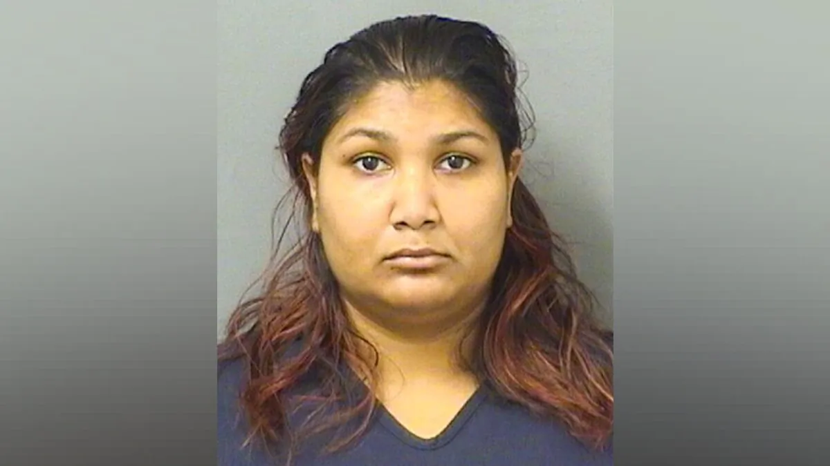 Arya Singh in an undated booking photo. (Palm Beach County Sheriff’s Office via AP)