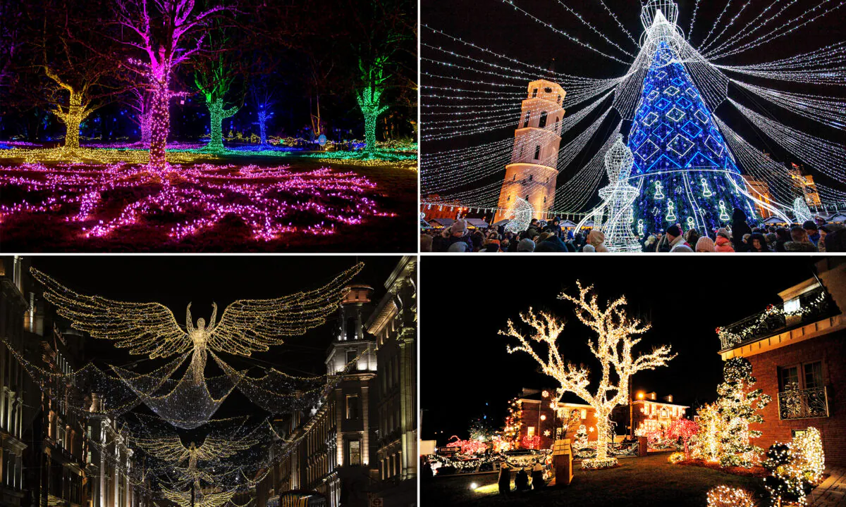 Top left: (Courtesy of VanDusen Bonatical Garden); Top Right: (Photo by PETRAS MALUKAS/AFP via Getty Images); Bottom left: (Photo by Dan Kitwood/Getty Images); Bottom Right: (Photo by Michael Heiman/Getty Images)