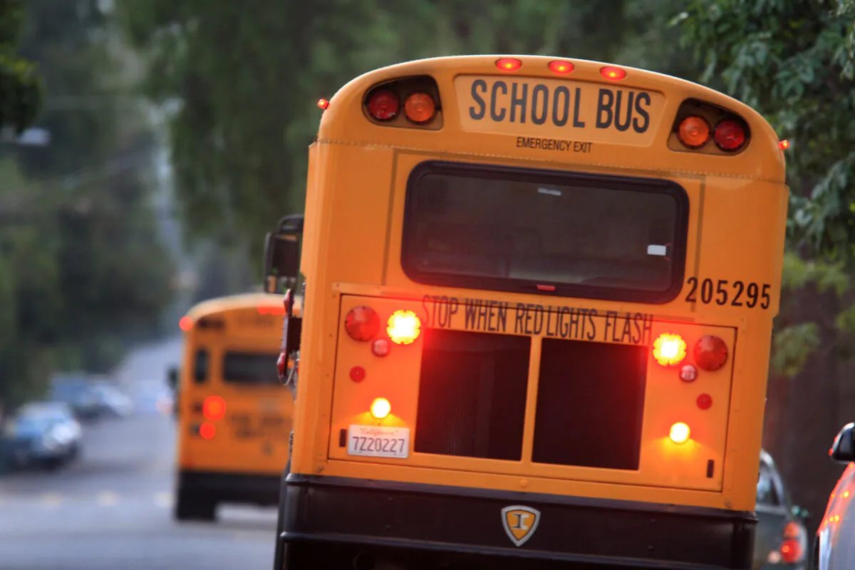 School buses drive down the road to pick up children before classes begin in Pasadena, Calif., on Oct. 10, 2008. (David McNew/Getty Images)