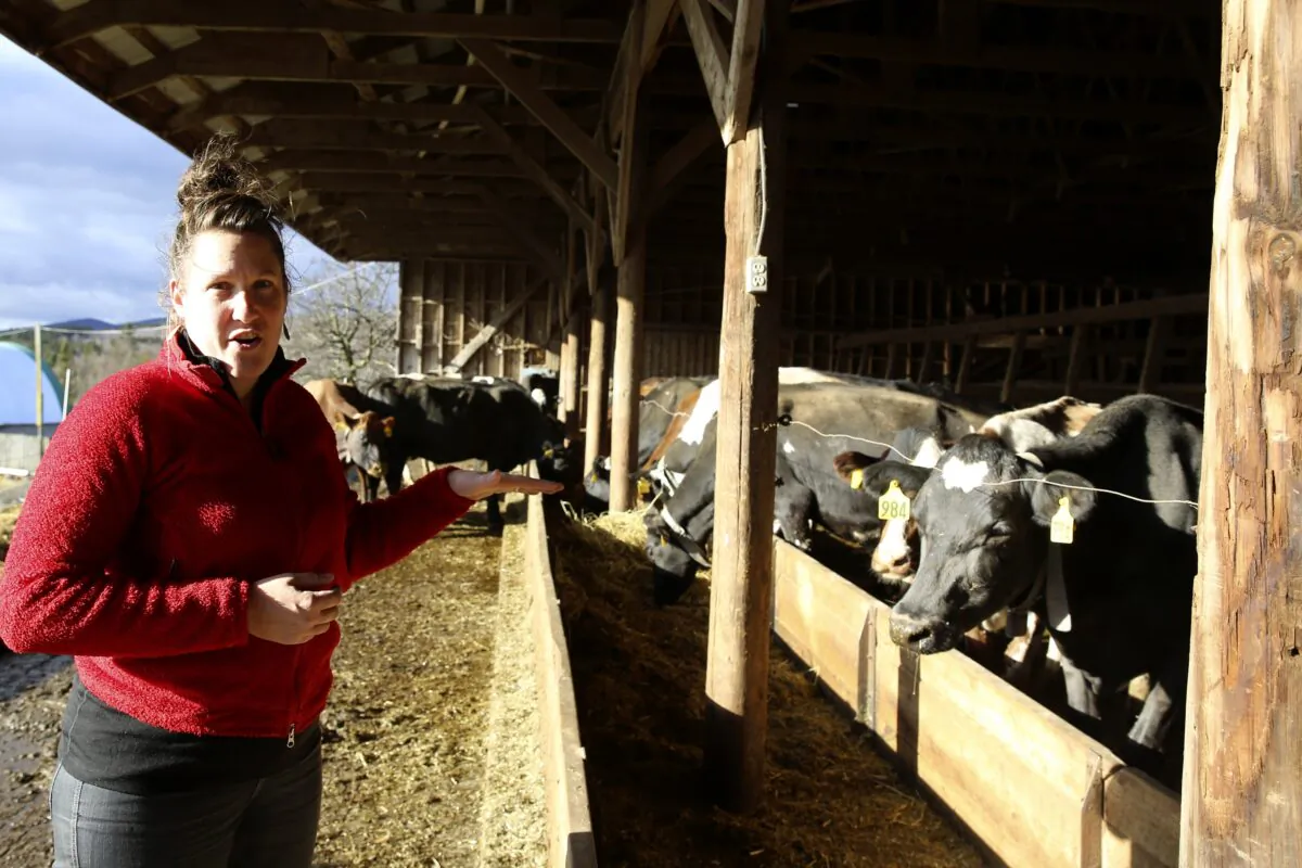 Organic dairy farmer Abbie Corse talks about farming at her family's more than 150-year-old-farm, in Whitingham, Vt., on Dec. 8, 2022. (Lisa Rathke/AP Photo)
