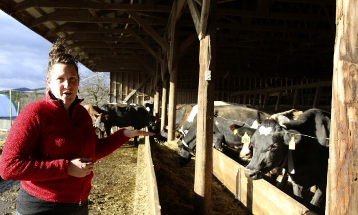 有机奶农 Abbie Corse 于 2022 年 12 月 8 日在佛蒙特州怀廷厄姆谈论她家拥有 150 多年历史的农场的农业。（Lisa Rathke/美联社照片）