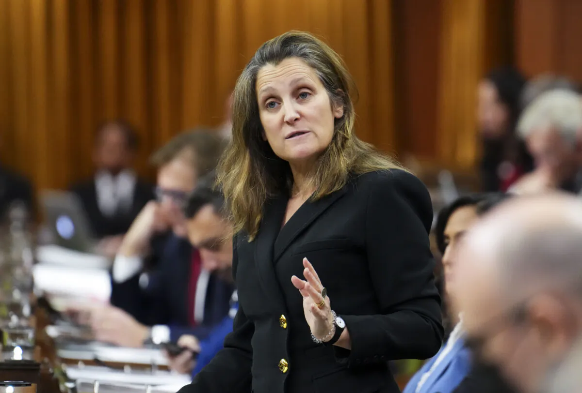 Minister of Finance Chrystia Freeland stands during question period in the House of Commons on Parliament Hill in Ottawa, on Nov. 28, 2022. (Sean Kilpatrick/The Canadian Press)
