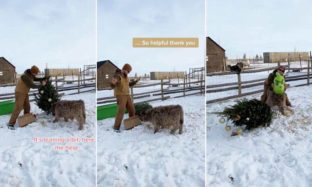 (Courtesy of Taylor Crassweller via Cedar Creek Farms)