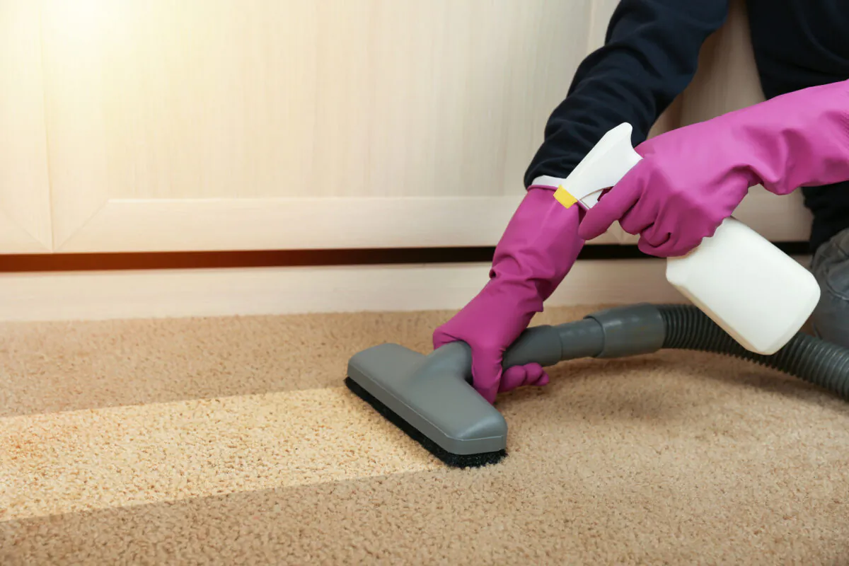 Carpet cleaning is a common post-holiday cleanup job. (Petr Smagin/Dreamstime/TNS)