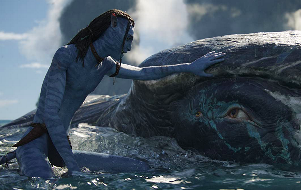 NextImg:The One-Sided Environmental Thinking behind 'Avatar: The Way of Water'