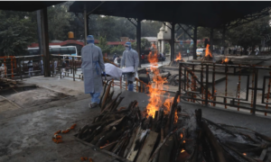 Covid in India in Perspective