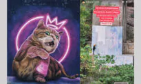 A Russian Graffiti Artist and His Mural Cats in Hong Kong