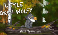 Little Grey Wolfy: Fall Travelers
