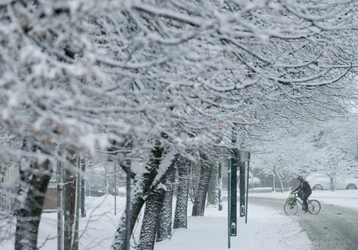 A person rides a bike across a road as snow falls in Vancouver, on Dec. 18, 2022. (The Canadian Press/Darryl Dyck)
