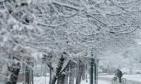 Wind Chill Drops to -40 C in Central BC, Winter Tires Needed on Lower Mainland
