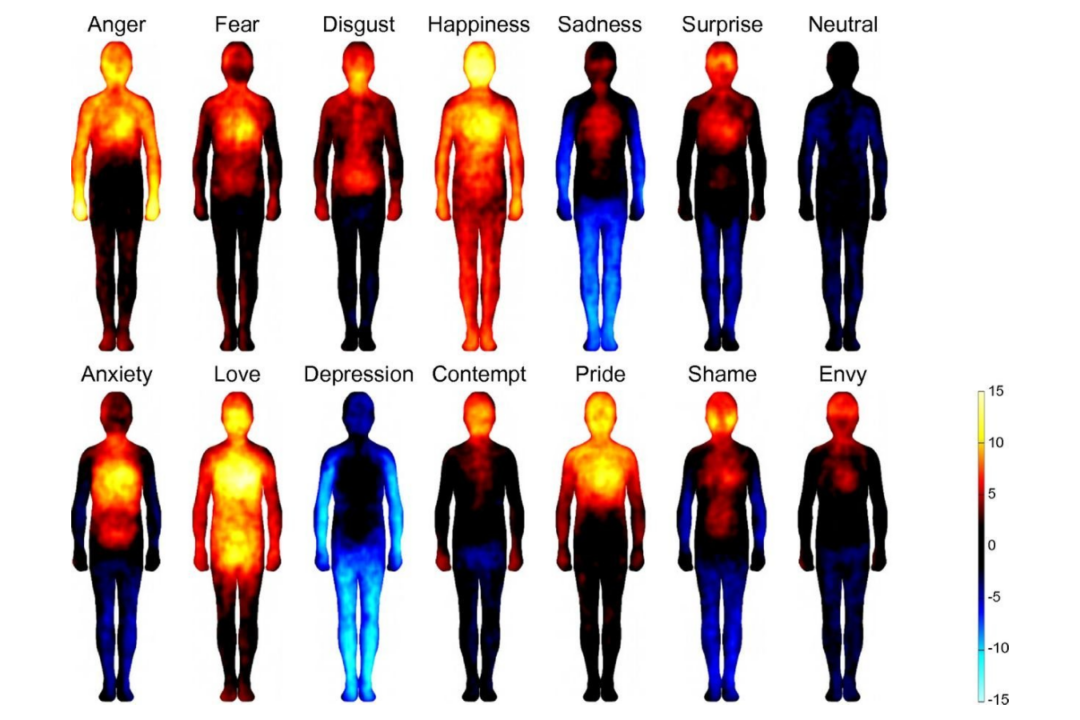Sensation heatmaps created from physical coping responses triggered by emotions. (Bodily maps of emotions/Lauri Nummenmaa, Enrico Glerean, Riitta Hari, and Jari K. Hietanen/Dec. 30, 2013/PNAS)