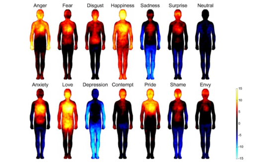 Study: Emotional Stimuli 'Color' Different Regions of the Body