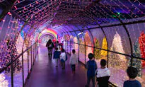 Discovery Cube Orange County Blends Holiday Fun With Science
