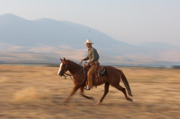 Traditional Cowboy Arts Association