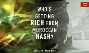 Who’s Getting Rich From Moroccan Hash | Documentary