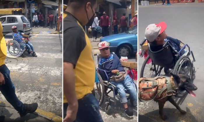 VIDEO: Loyal K9 Amazingly Pushes Disabled Owner in Wheelchair Across Streets in Mexico, And It’s Incredible