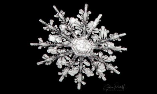 Colorado Man's Close-Up Photos of Perfect 12-Point Snowflakes Look Incredibly Amazing