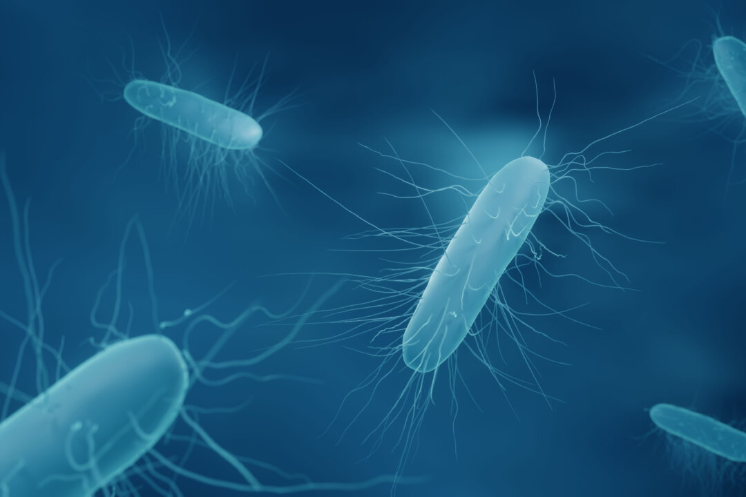 Fecal Transplants Effective, Life Changing, and Potentially Dangerous