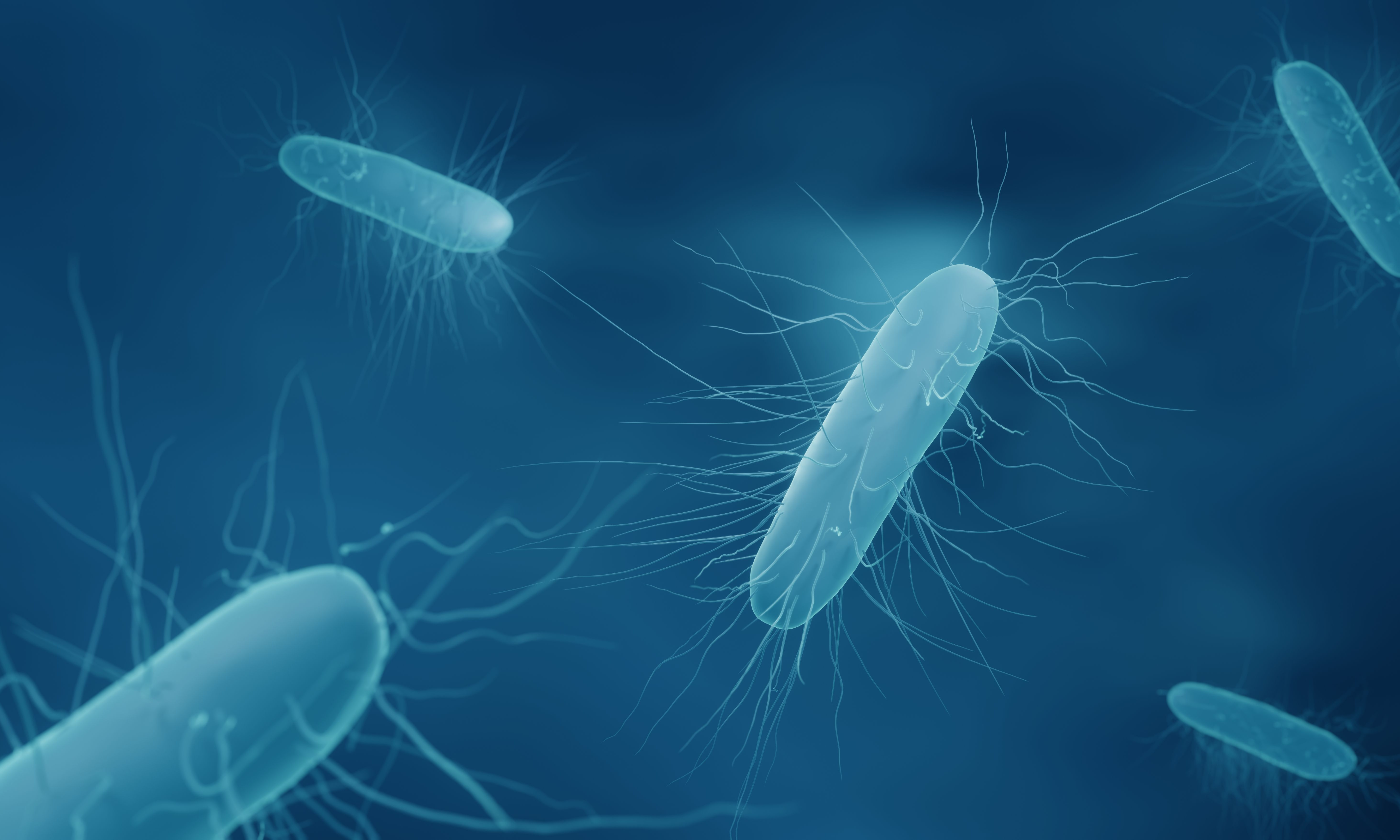 Know the Signs of the Life-Threatening Colon Infection Clostridioides Difficile - Vimarsana News