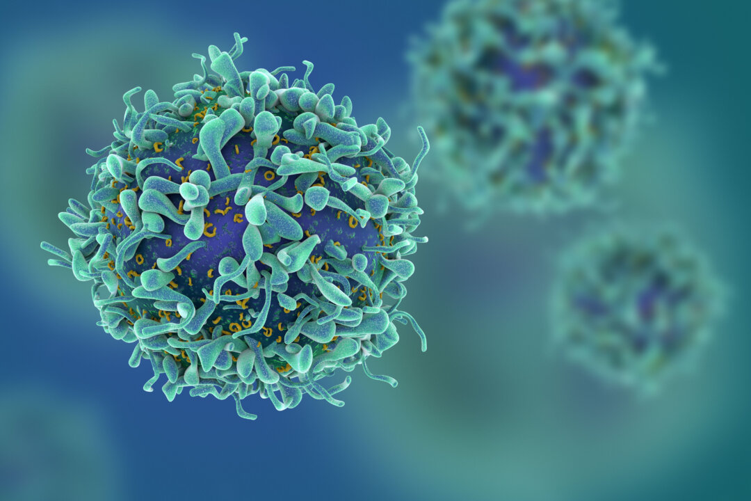 Thirty to 50 percent of cancers in the world can actually be prevented by choosing a healthy lifestyle and staying away from carcinogens. (Shutterstock)