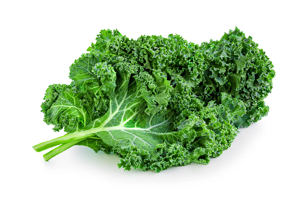 Fiber-rich kale will give your digestive system a welcome workout this holiday season. (Natali Zakharova/Shutterstock)
