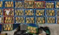 China Bans Taiwanese Food Exports Amid Heightened Cross-Strait Tensions