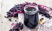 Black Elderberry to Boost Immunity This Winter