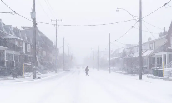 Hundreds of Flights out of Toronto Cancelled as Winter Storm Rolls In
