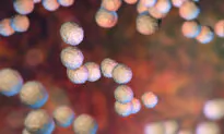 England Reports 94 Deaths Due to Scarlet Fever so Far This Season
