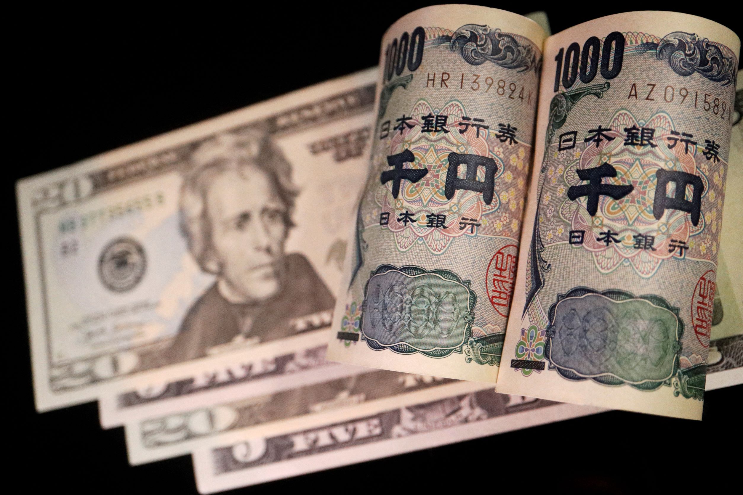 'Japanification' and the Negative Growth From Debt - Vimarsana News