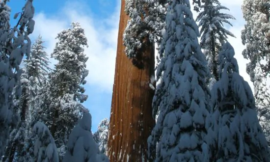3 Holiday Adventures in California’s National Parks