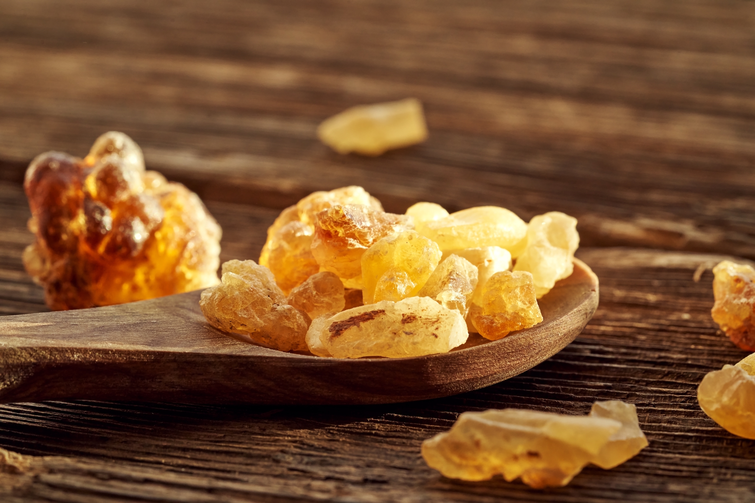 Frankincense & Myrrh: The Original Christmas Gifts with Unparalleled Healing Benefits - Vimarsana News