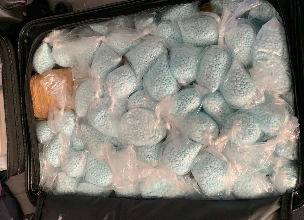 Bags full of fentanyl pills seized by DEA Los Angeles. (Courtesy of DEA Los Angeles)