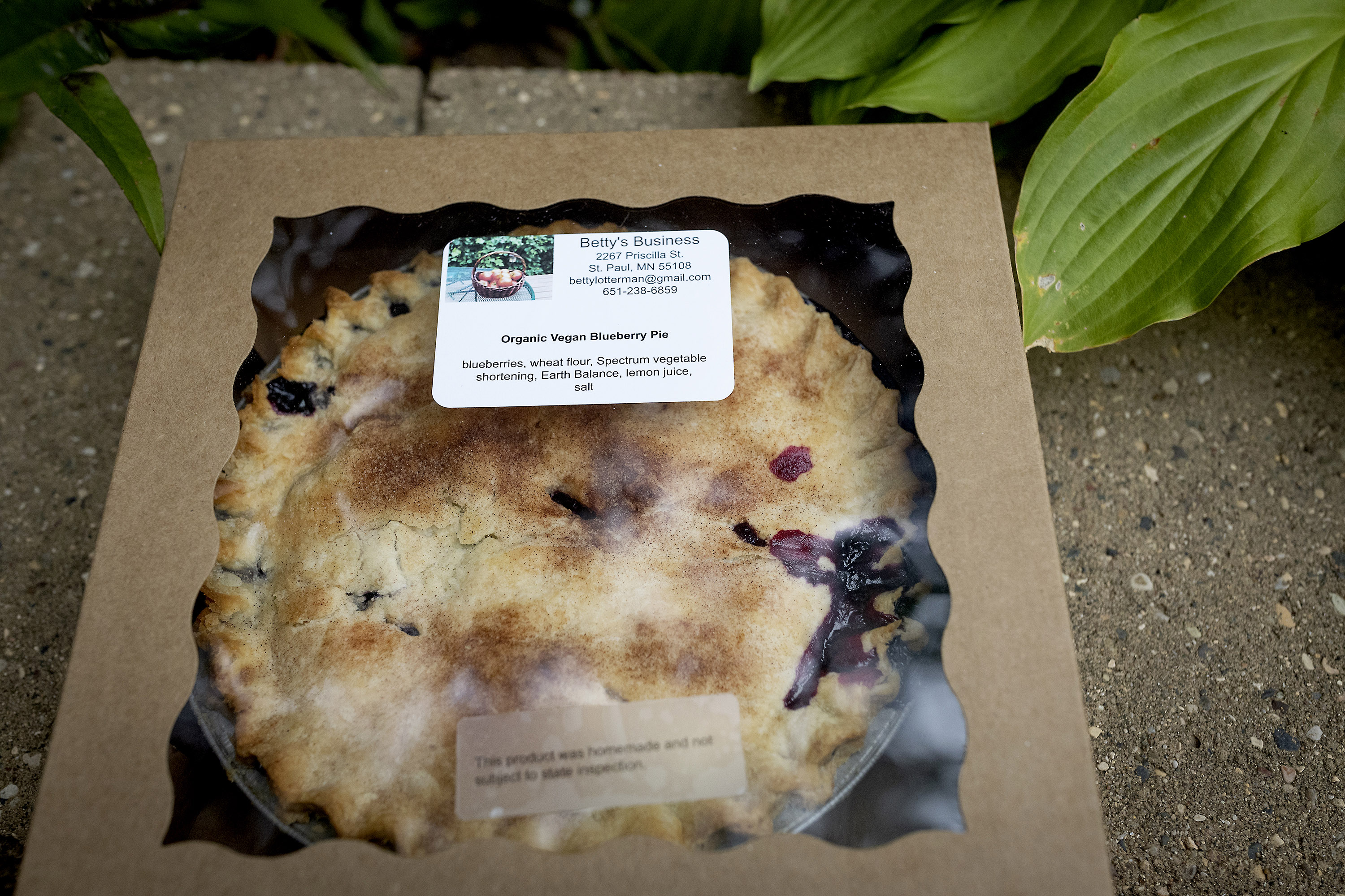 homemade pie