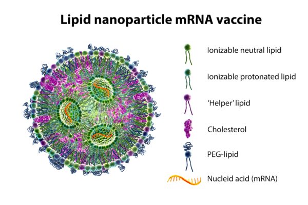 Lípido,Nanopartícula,Mrna,Vacuna,A,Tipo,De,Vacuna,Usada,Contra