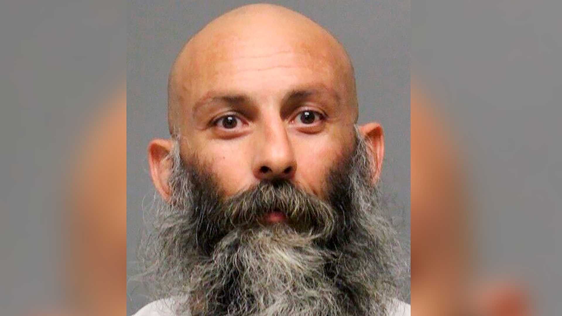 Co-leader in Scheme to Kidnap Michigan Governor Sentenced to Nearly 20 Years in Prison - Vimarsana News