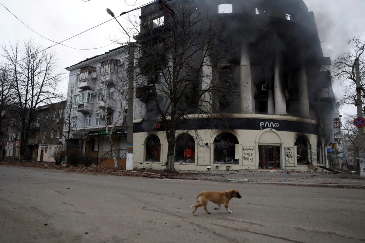 A dog walks past a building burned from a strike in Bakhmut, Ukraine, on Dec. 26, 2022. (Clodagh Kilcoyne/Reuters)