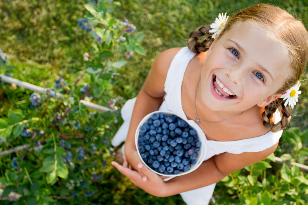 Research suggests that bilberry when used as supplement, over time, will help stave off cataracts and macular degeneration. (gorillaimages/shutterstock)