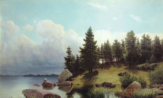 Book Review: ‘Forest Walking: Discovering the Trees and Woodlands of North America’