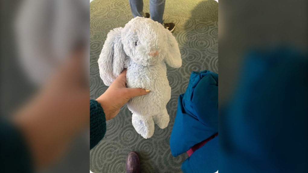 The Tale of Bunbun, Stranded at Vancouver Airport, Has a Happy Ending - Vimarsana News