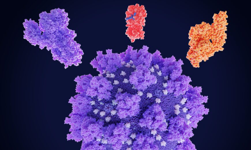 Πιθανές πρωτεΐνες στόχευσης φαρμάκων του κορωνοϊού SARS-CoV-2 (Shutterstock)