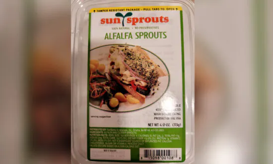 Alfalfa Sprouts Being Recalled After Salmonella Outbreak
