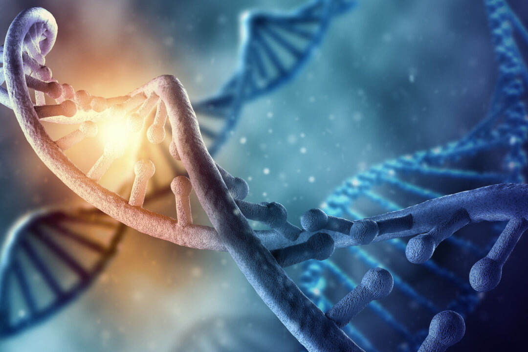 8 Percent of Human DNA Comes From Viruses, May Be Good for Immunity