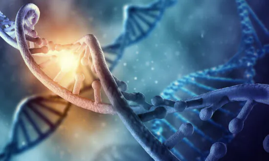 8 Percent of Human DNA Comes From Viruses, May Be Good for Immunity